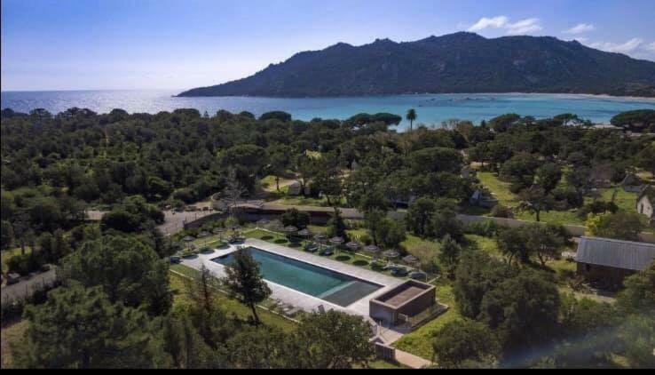 Porto-Vecchio Baie Santa Giulia Appartement Une Chambre 4-5 Personnes المظهر الخارجي الصورة